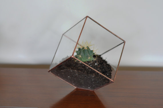 { Today I ♥ } Les terrariums... | www.decocrush.fr