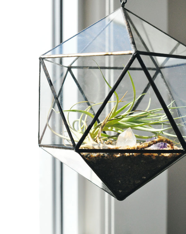 { Today I ♥ } Les terrariums... | www.decocrush.fr