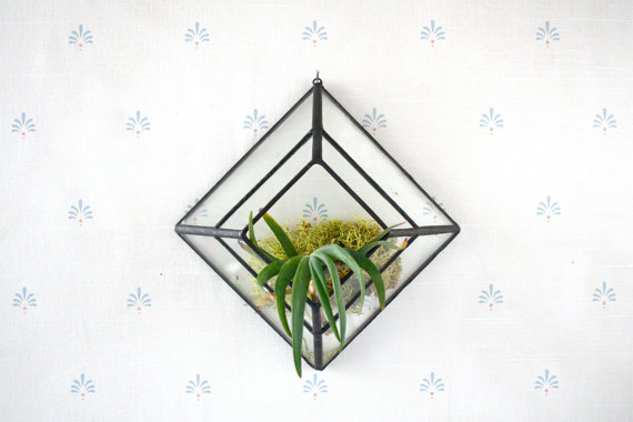 { Today I ♥ } Les terrariums... | www.decocrush.fr