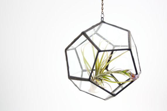 { Today I ♥ } Les terrariums... | www.decocrush.fr