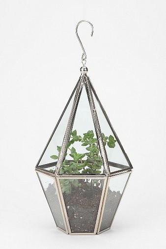 urban_outfitters_terrariums