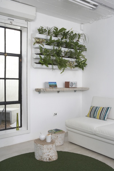 Focus : Comment décorer avec des plantes d'intérieur ? | www.decocrush.fr