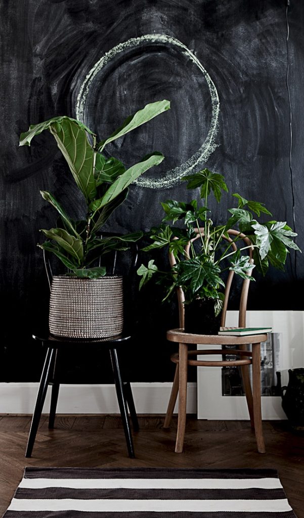 Focus : Comment décorer avec des plantes d'intérieur ? | www.decocrush.fr