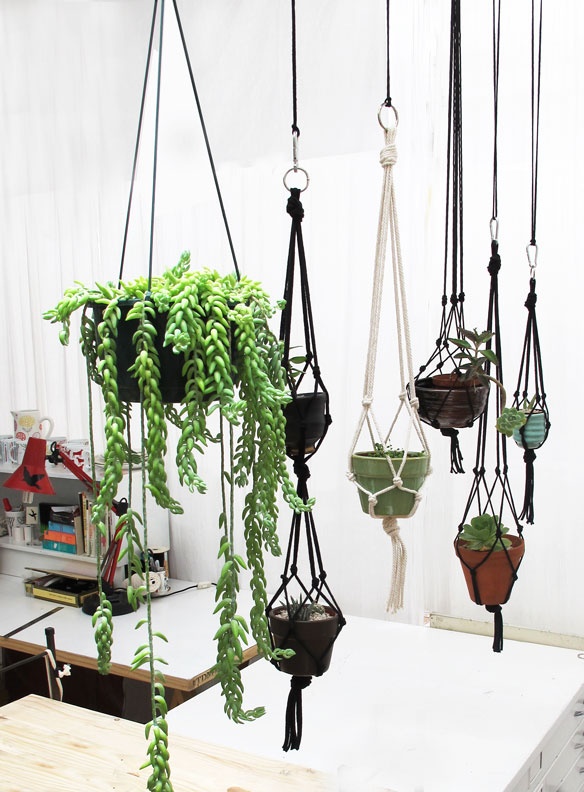 Focus : Comment décorer avec des plantes d'intérieur ? | www.decocrush.fr