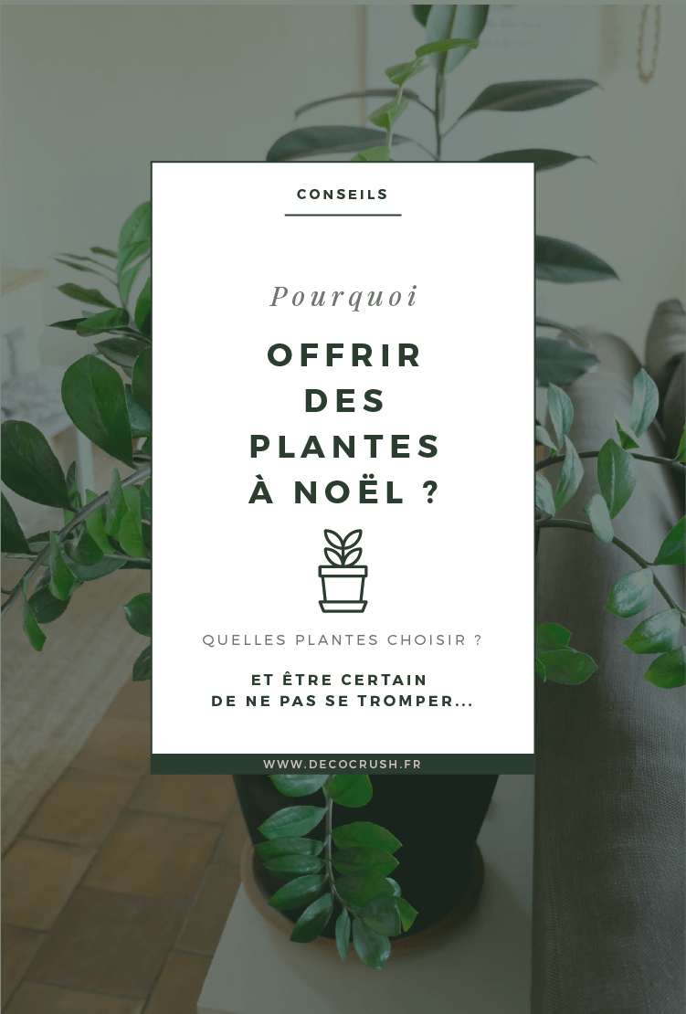 Pourquoi faire cadeau d'une plante à Noël ? Et quelles plantes choisir pour être sûr de ne pas se tromper ? Réponses en images chez Nannette d'Interior Crisp sur www.decocrush.fr - @decocrush